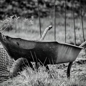 wheelbarrow-4948521_1920